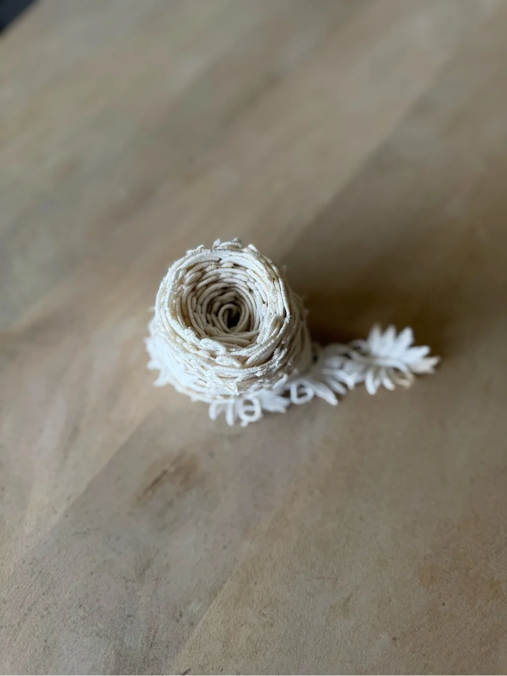 Delicate Ivory Lace Trim Ribbon - Women's Accessory